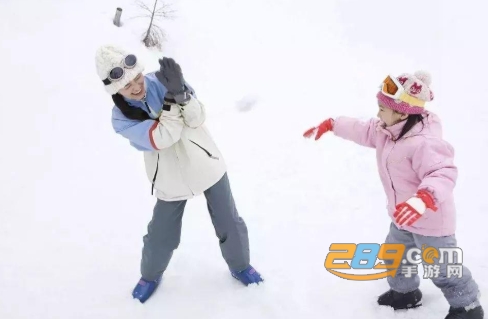 雪团行动安卓版不用看广告