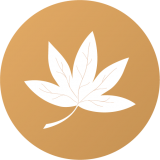 尺书最新版v2.0.8