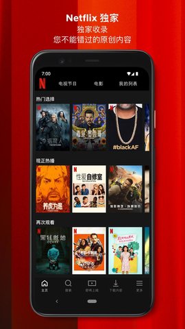 奈飞Netflix谷歌版