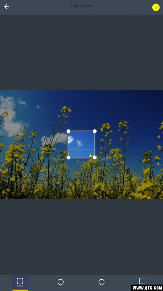 Watermark Photo(照片上的水印) 1.5安卓版