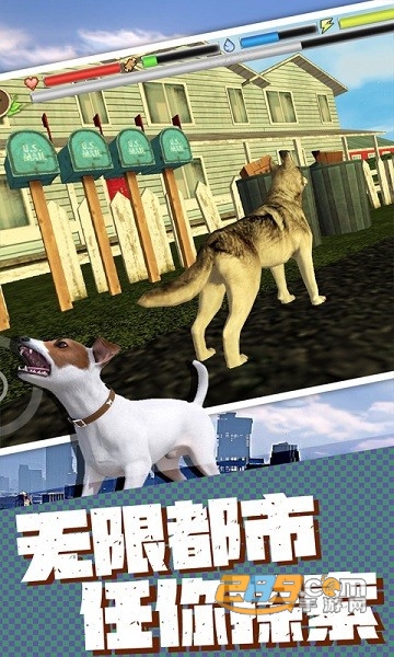 流浪狗生存模拟器下载手机版v1.2最新版