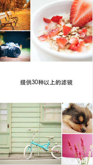 cameran蜷川实花相机