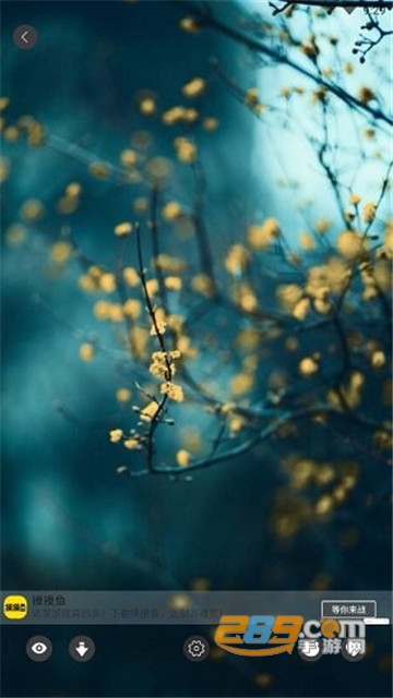 wallpaper壁纸app下载手机版2022最新版(壁纸引擎)v2.7.4中文版