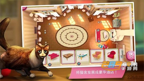 开心猫舍去广告破解版