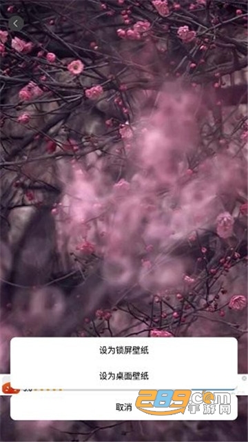 wallpaper壁纸app下载手机版2022最新版(壁纸引擎)v2.7.4中文版