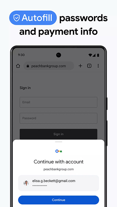 谷歌浏览器（Chrome Beta）