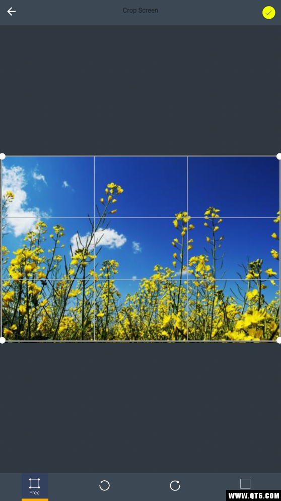 Watermark Photo(照片上的水印) 1.5安卓版