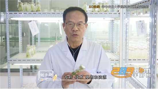我说国家安全在线直播回放最新版