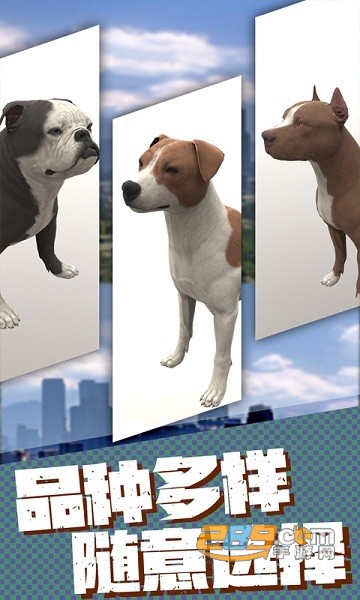 流浪狗生存模拟器下载手机版v1.2最新版