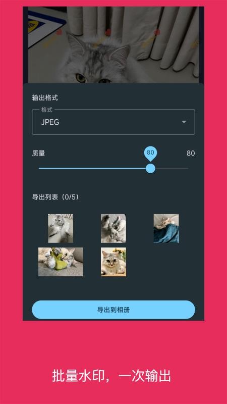 简单水印照片官网版