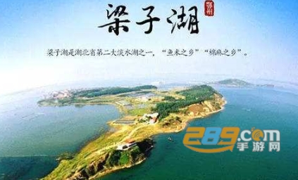 全民出行河南版司机客户端apk