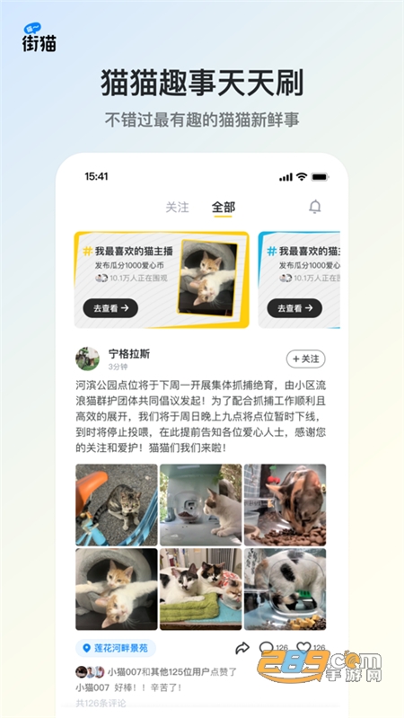 街猫app下载2024最新版本