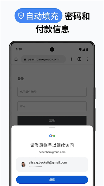 谷歌浏览器海外版(Chrome)