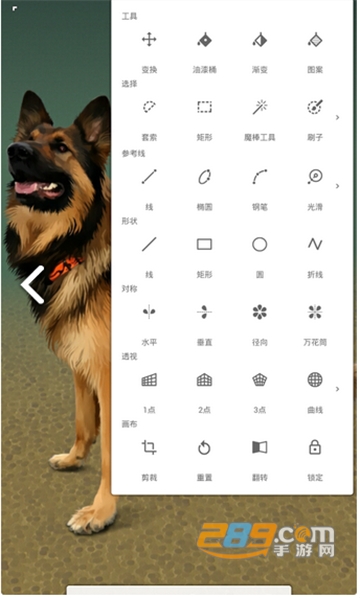 Painter无限绘画中文破解版v6.5.7破解版
