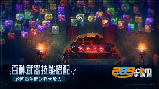 死亡细胞中文版