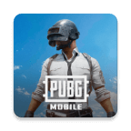 和平精英国际服官方正版(PUBG MOBILE) 4.3.0安卓版