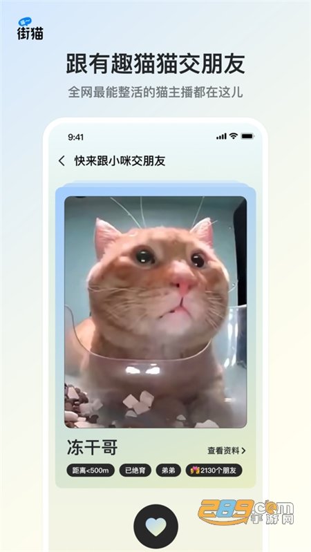 街猫app下载2024最新版本