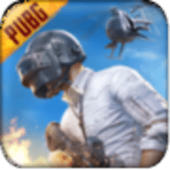 PUBG国际服手游下载安卓地铁逃生