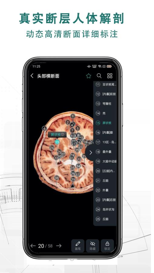 掌上3D解剖免费版 2.7.8安卓版