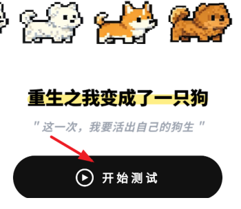 mbti小狗人格(dogti)