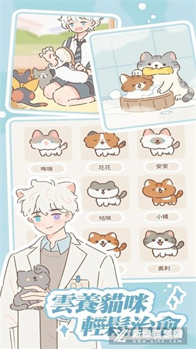 遇见你的猫国际服