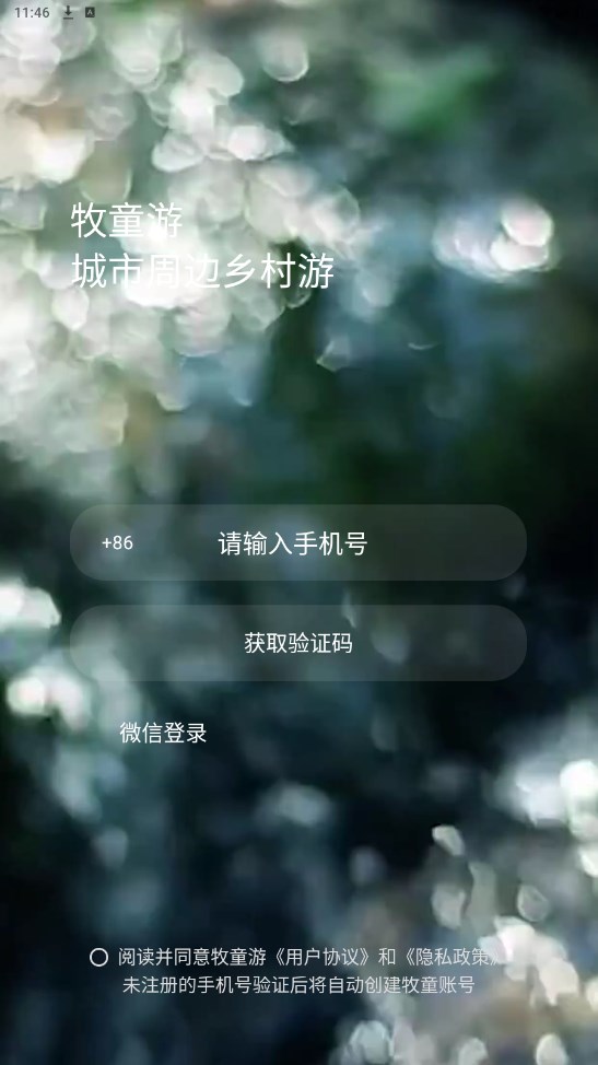牧童游