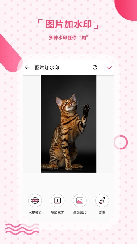 去水印相机