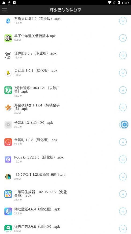 辉少软件库2024