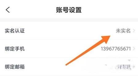 喵特展务 喵特展务