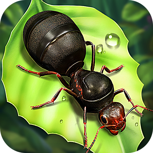 守望家园最新版 v1.31.0安卓版