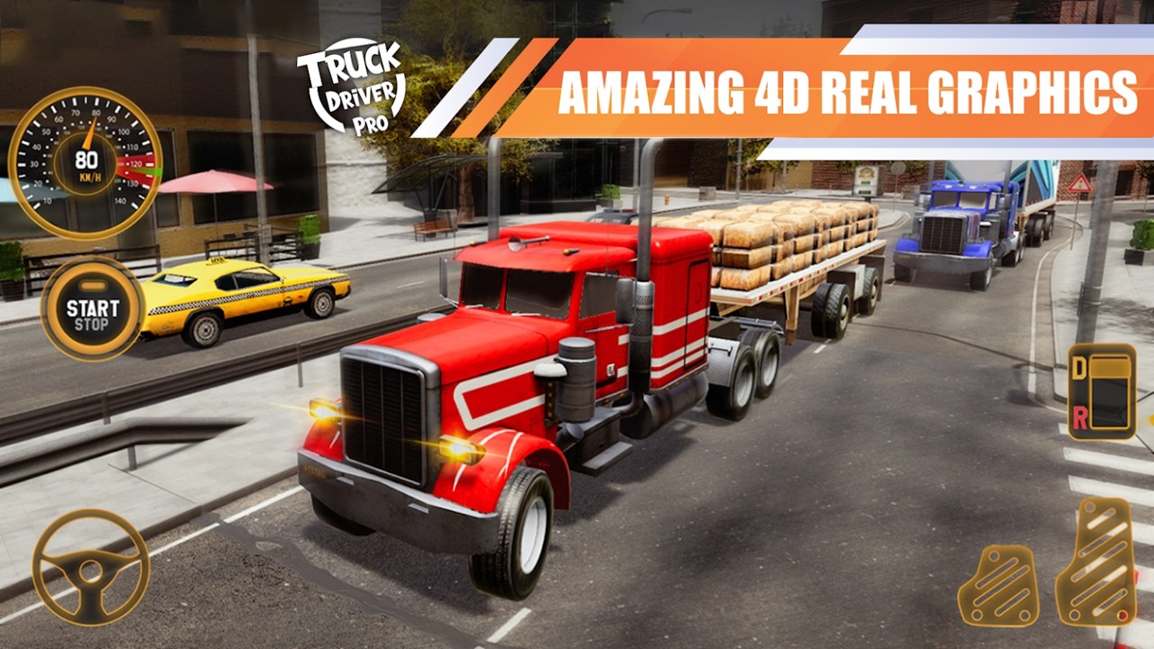 Truck Driver Pro(卡车司机专业版游戏) 1.0安卓版