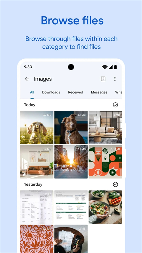 谷歌文件极客App