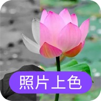 照片上色 ios版