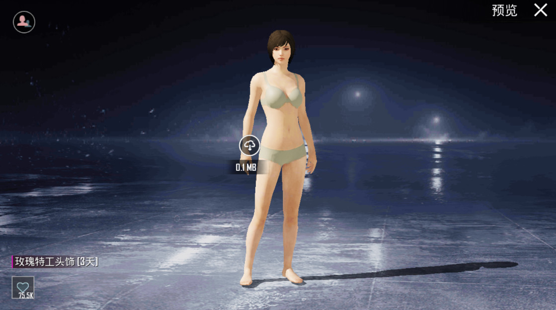 绝地求生国际服兼容版最新版本(PUBG MOBILE) 4.3.0中文版