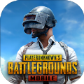 地铁逃生PUBG国际服中文版