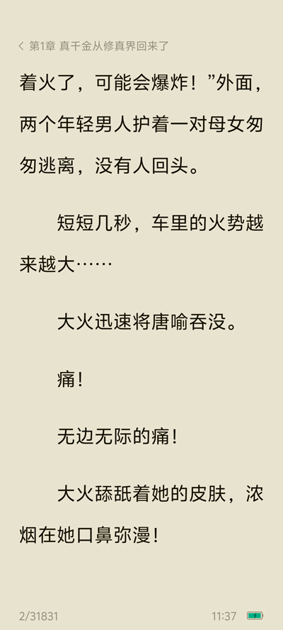 番茄小说谷歌商店版