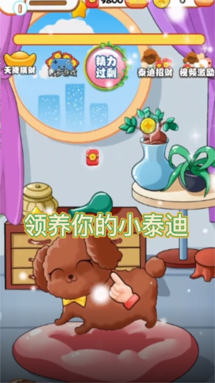 快乐小泰迪