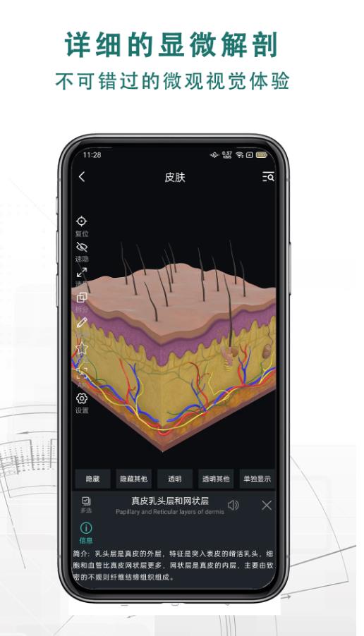 掌上3D解剖免费版 2.7.8安卓版