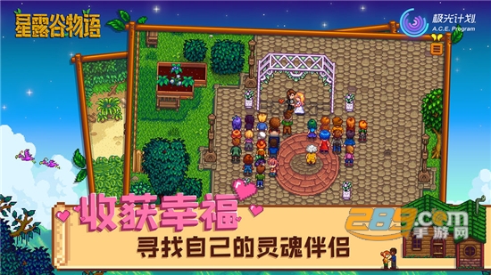 Stardew Valley(星露谷物语破解版无限金币免谷歌版)v1.4.5.145破解版