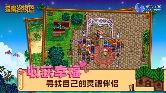 星露谷物语免谷歌无限金币
