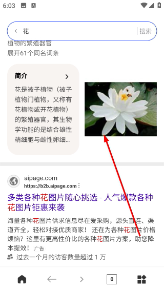SM浏览器app 1.0.1安卓版