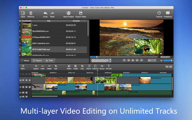 Video Editor MovieMator Pro（专业媒体编辑） 2.5.7专业版
