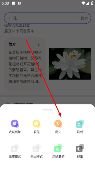 SM浏览器app 1.0.1安卓版