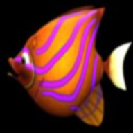 bigfisheatsmallfish 1.0安卓版