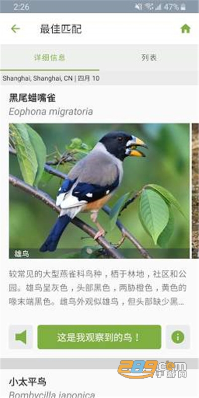 Merlin鸟类照片识别app下载最新版