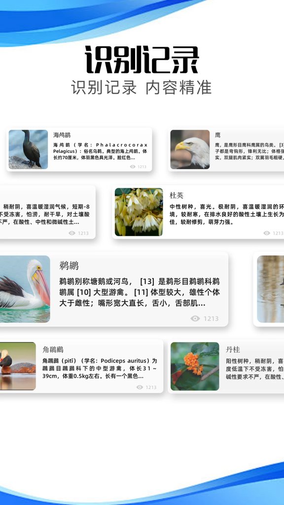 冷眸软件库4.0