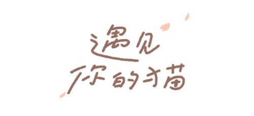遇见你的猫国际服