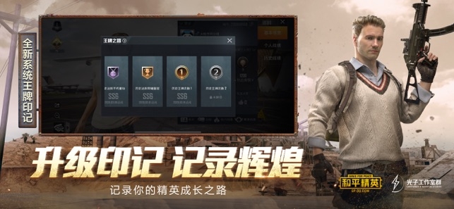 和平精英国际服过检多功能辅助