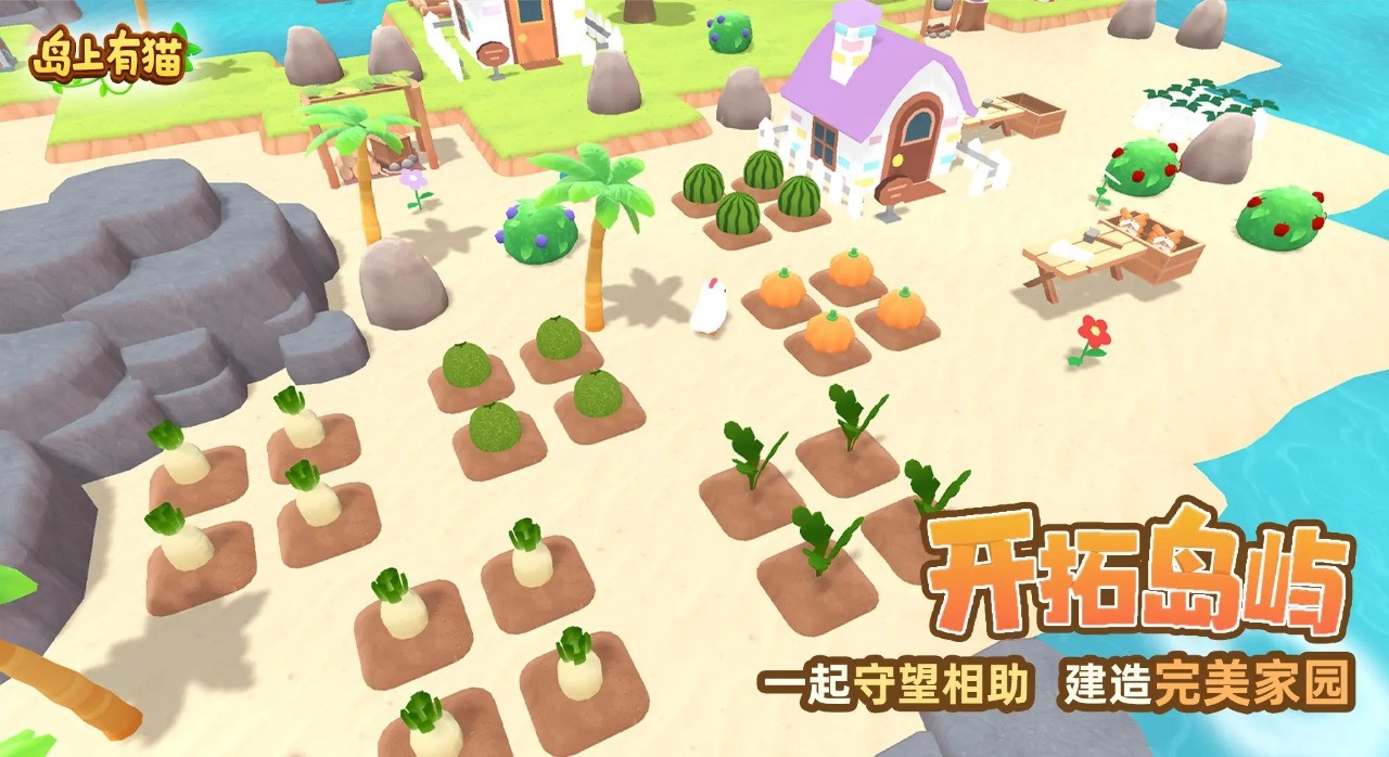 岛上有猫官方版下载