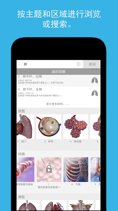 atlas人体解剖学图谱官方版下载